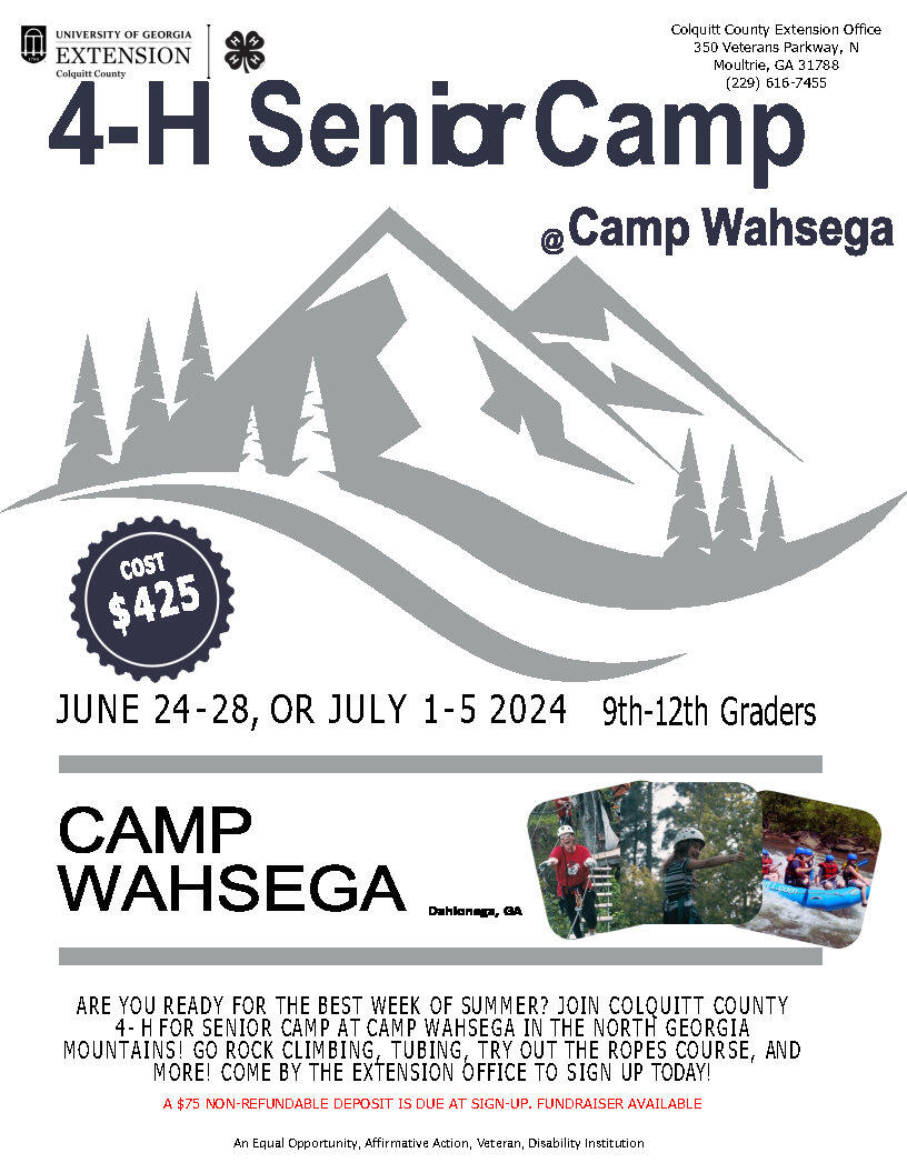 4H Summer Camp Flyer