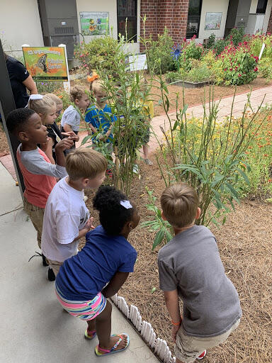 elementary-school-students-observing-flowers